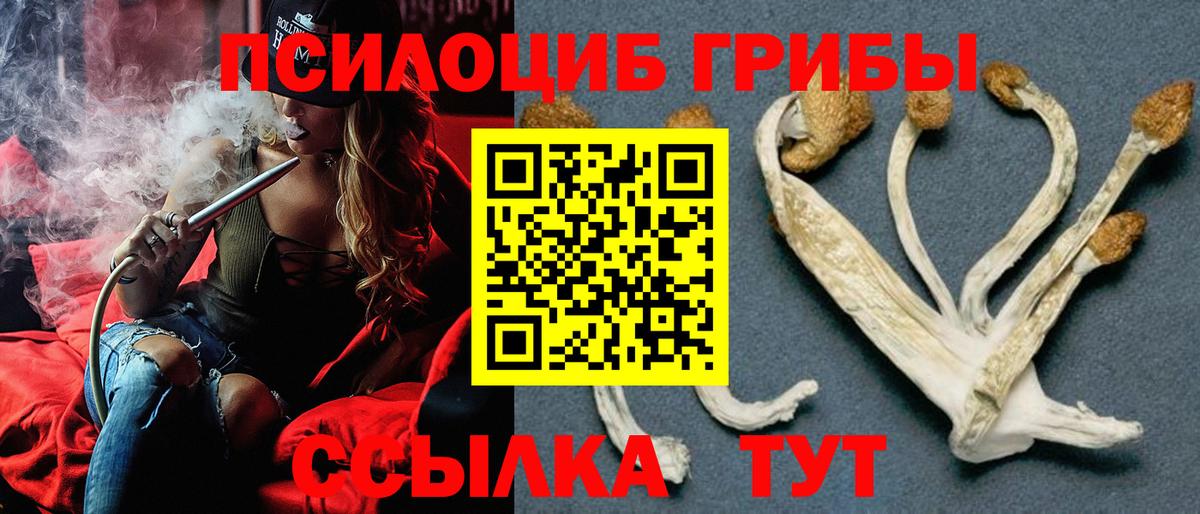Топки  Псилоцибиновые грибы мицелий  Вход с VPN  Галлюциногенные грибы Magic Shrooms 